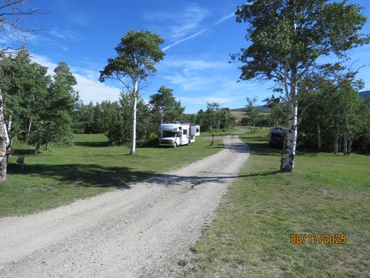 Johnson's of St. Mary by null