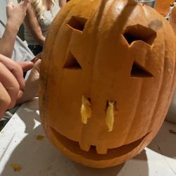 Max's Miracle Ranch - Pumpkins, train rides and apple picking