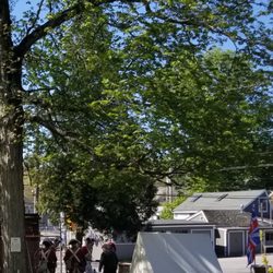 The Paine House Museum - British troop reenacters at Open Day event 2023