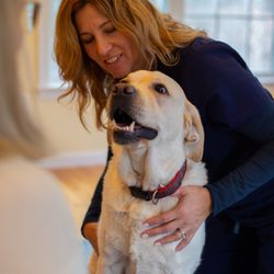 Positive Chi Alternative Veterinary Medicine