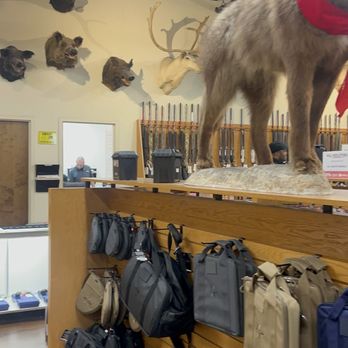 Shoot Straight - Gun/Rifle Ranges Near Me - Tampa, Florida Shoot Straight - Gun/Rifle Ranges Near Me - Tampa, Florida
