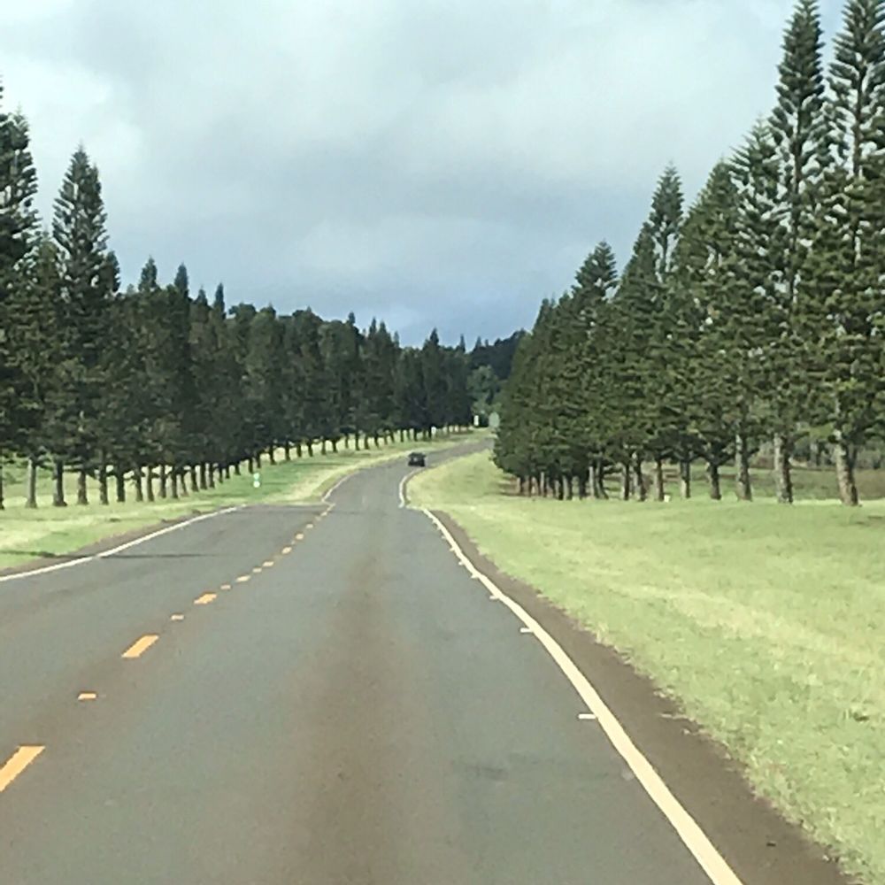 Driving to Lanai City (in the heart of an old volcano crater) ... slowly (the speed limit is only 20 or 30 mph) Driving to Lanai City (in the heart of an old volcano crater) ... slowly (the speed limit is only 20 or 30 mph)