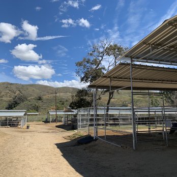 Peacock Hill Equestrian Center - New pipe stalls - Horse Boarding Near Me - Orange, California Peacock Hill Equestrian Center - New pipe stalls - Horse Boarding Near Me - Orange, California