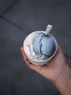Marco Polo Italian Ice Cream Inc. by null