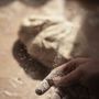 Photo of Pane Pane