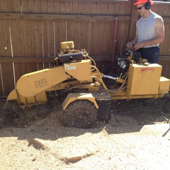 North River Tree Service - Stump grinding in tight spaces - Tree Services Near Me - Marshfield, Massachusetts