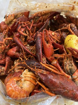 Savannah Seafood Shack by null