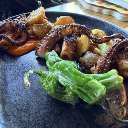 Octopus