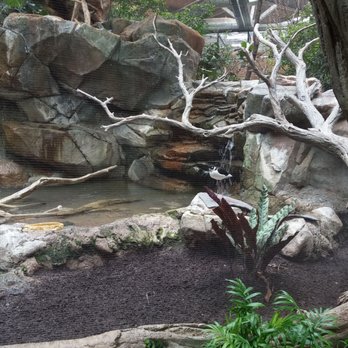 Minnesota Zoo  - Zoos Near Me - Apple Valley, Minnesota