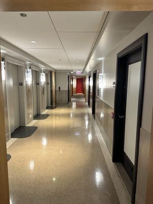 Virgin Hotels Chicago by null