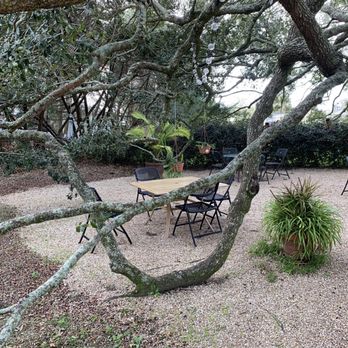 Shade Tree Cafe - a table and chairs under a tree - Diners Near Me - Broussard, Louisiana Shade Tree Cafe - a table and chairs under a tree - Diners Near Me - Broussard, Louisiana