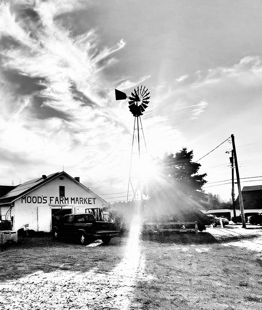 Social spots from Mood's Farm Market