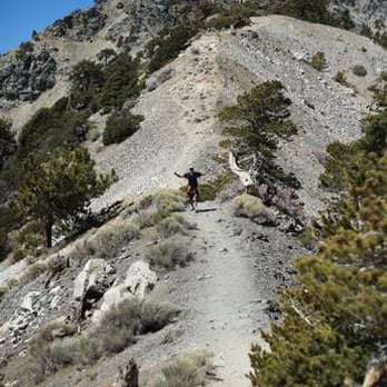 Devil's Backbone - Yes, this is the hellish incline. You can do it! - Hiking Near Me - Mount Baldy, California