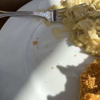 Bushfire Kitchen - La Costa - Hair in my child's food - American Near Me - Carlsbad, California Bushfire Kitchen - La Costa - Hair in my child's food - American Near Me - Carlsbad, California