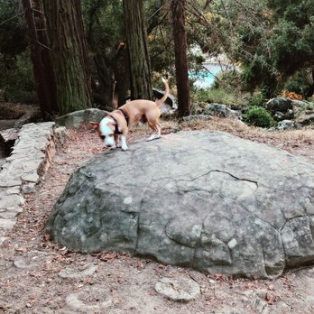Joaquin Miller Park - Parks Near Me - Oakland, California