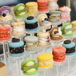 Pablo Cheese Tart - Macaroons