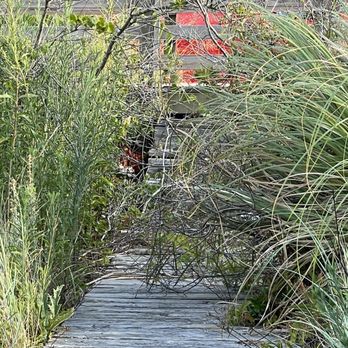 Brindley Beach Vacations and Sales - Vacation Rentals Near Me - Corolla, North Carolina
