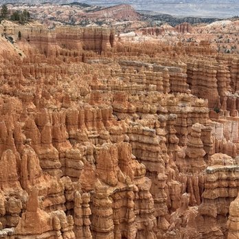Bryce Trails Bed & Breakfast - Bryce Canyon is just minutes away. - Bed & Breakfast Near Me - Tropic, Utah
