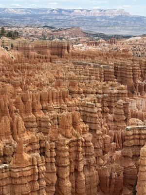 Bryce Trails Bed and Breakfast by null