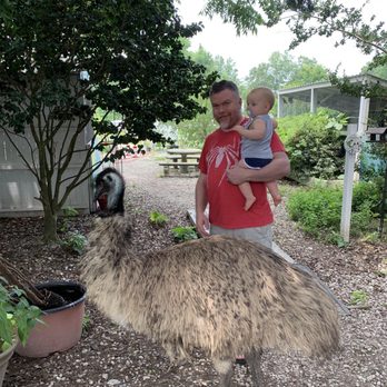 Skywatch Bird Rescue - Community Service/Non-Profit Near Me - Castle Hayne, North Carolina Skywatch Bird Rescue - Community Service/Non-Profit Near Me - Castle Hayne, North Carolina