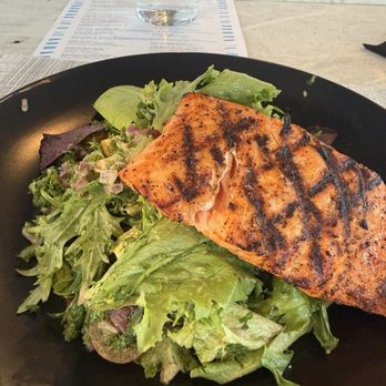 Ocean Ave Bar & Kitchen - blackened salmon salad - Bars Near Me - Riviera Beach, Florida Ocean Ave Bar & Kitchen - blackened salmon salad - Bars Near Me - Riviera Beach, Florida