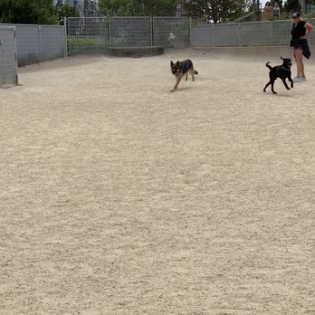 The Fields Off-Leash Dog Area - Dog Parks Near Me - Portland, Oregon