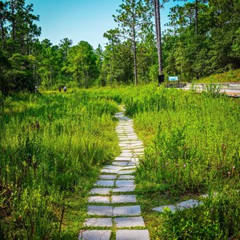 Piney Ridge Nature Preserve - Parks Near Me - Wilmington, North Carolina