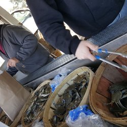 Crabs Plus - Bought 2 dozen and they gave us a couple extra