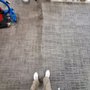 Photo of All Rugs Look Great
