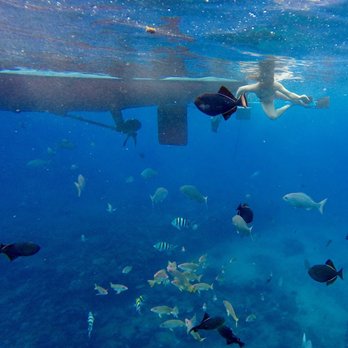 Capt Andy's - Boat Tours Near Me - Ele'ele, Hawaii