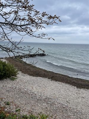 Louisiana Museum of Modern Art by null