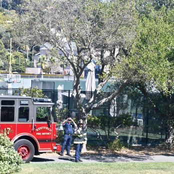 Hal Brown Park - Nothing to see here just 2 EMS choppers landing in a park - Parks Near Me - Kentfield, California Hal Brown Park - Nothing to see here just 2 EMS choppers landing in a park - Parks Near Me - Kentfield, California