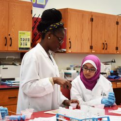 The Citizen Science Lab