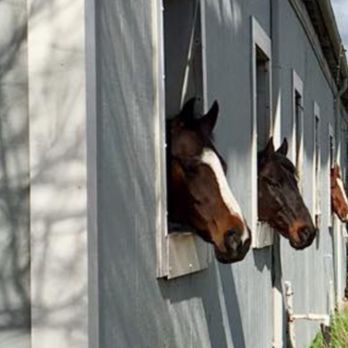 Five Oak Farms - Horseback Riding Near Me - Orangevale, California