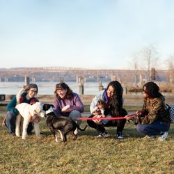 First Friend Canine Consulting