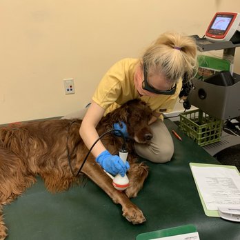 Canine New England - Colin (the dog) and Meghan (the therapist) - Pet Training Near Me - Walpole, Massachusetts Canine New England - Colin (the dog) and Meghan (the therapist) - Pet Training Near Me - Walpole, Massachusetts
