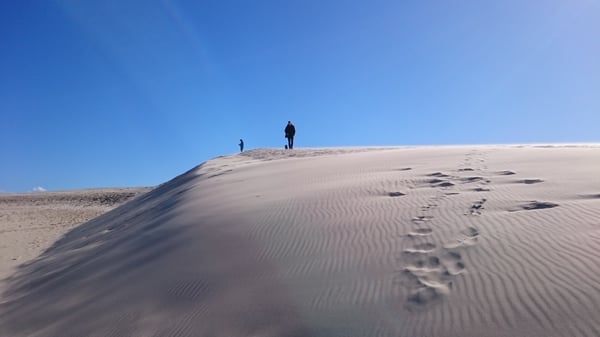 Råbjerg Mile by null