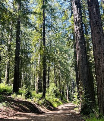 Trione-Annadel State Park by null