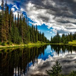 Mountain Living Real Estate - We Know the Sierra!