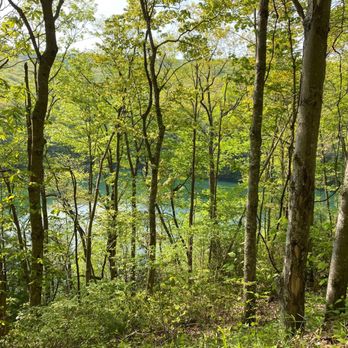 High Knob Recreation Area - The reservoir has a number of awesome hiking and biking trails around and nearby. - Hiking Near Me - Wise, Virginia High Knob Recreation Area - The reservoir has a number of awesome hiking and biking trails around and nearby. - Hiking Near Me - Wise, Virginia