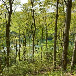 High Knob Recreation Area - The reservoir has a number of awesome hiking and biking trails around and nearby.