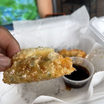 Brew and Bird - Vegetable Dumplings - Beer Bar Near Me - Decatur, Georgia Brew and Bird - Vegetable Dumplings - Beer Bar Near Me - Decatur, Georgia