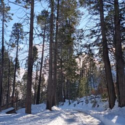 Miami Mountain Road - 2022 Jan 3