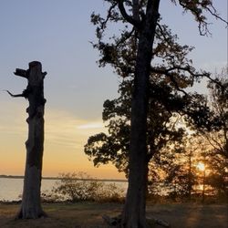 Cooper Lake State Park - Doctors Creek Unit