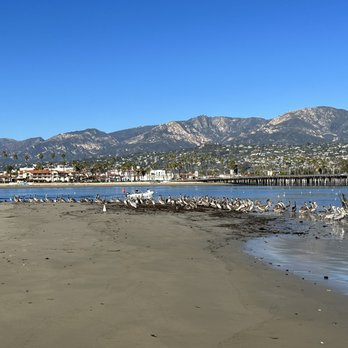 Santa Barbara Harbor - Tours Near Me - Santa Barbara, California Santa Barbara Harbor - Tours Near Me - Santa Barbara, California
