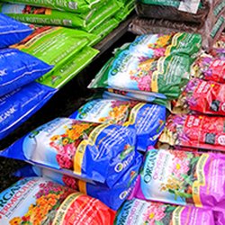 Gali's Flower & Garden Center