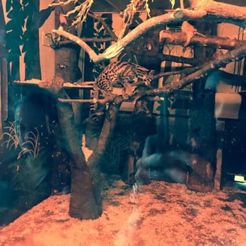 Edinburgh Zoo - Zoos Near Me - Edinburgh, EDH