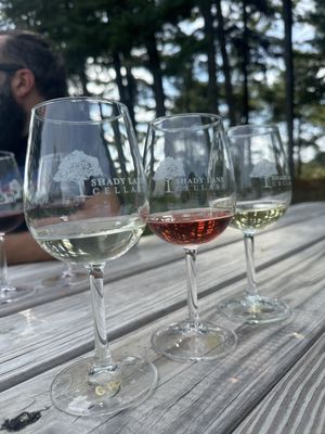 Shady Lane Cellars by null