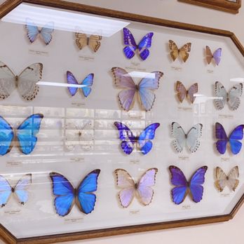 Stones 'n Bones Museum - A photo can't capture how gorgeous the colors are. - Museums Near Me - Sarnia, Ontario Stones 'n Bones Museum - A photo can't capture how gorgeous the colors are. - Museums Near Me - Sarnia, Ontario