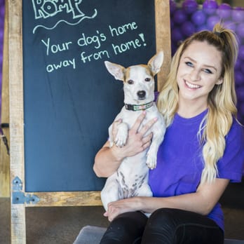 Romp - Pet Sitting Near Me - Scottsdale, Arizona Romp - Pet Sitting Near Me - Scottsdale, Arizona
